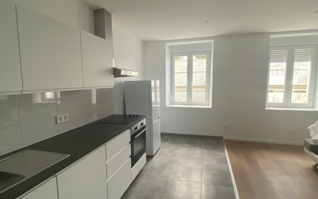 Bel appartement 3 pièces – meublé – Quartier Salengro – Mulhouse – 650€