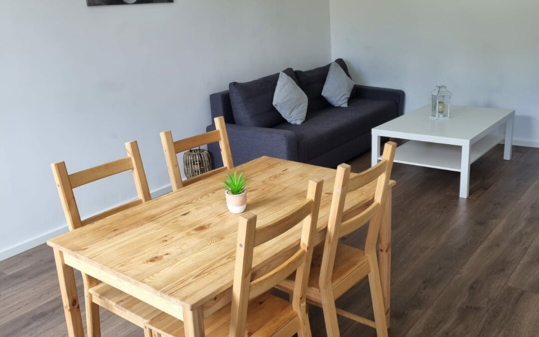 Bel appartement 2 pièces rénové meublé – Quartier Fonderie – Mulhouse 600€